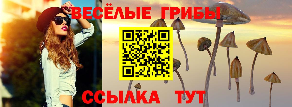 Псилоцибиновые грибы ЛСД Канск